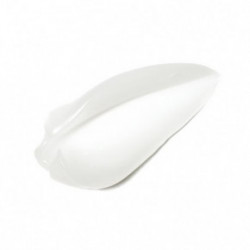 Delilah Under Wear Future Resist Skin Primer Makiažo bazė 40ml