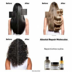 L'Oréal Professionnel Absolut Repair Molecular Bi-Phase Oil Dvifazis atkuriamasis plaukų aliejus 90ml