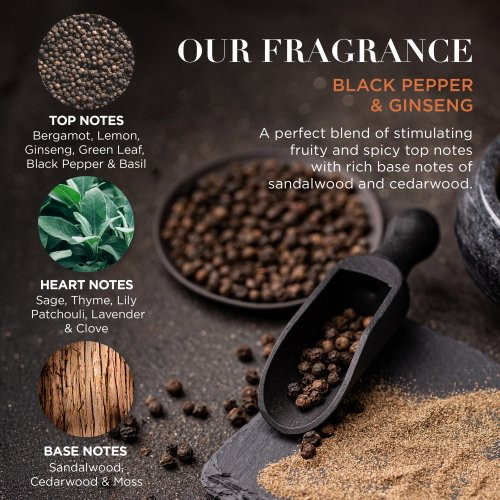 Baylis & Harding Black Pepper & Ginseng Men's The Essentials Tin Kit Gift Set Dovanų rinkinys vyrams