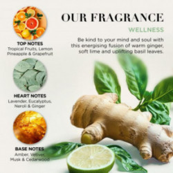 Baylis & Harding Wellness Tin Of Treats Gift Set Dovanų rinkinys