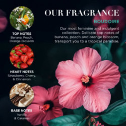 Baylis & Harding Boudoire 3 Hand Cream Set Rankų kremų rinkinys 3x50ml