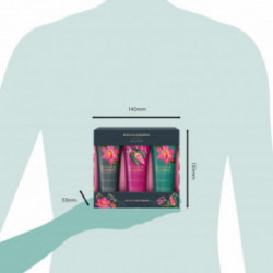 Baylis & Harding Boudoire Luxury Tropical Paradise Hand Cream Set Rankų kremų rinkinys 3x50ml