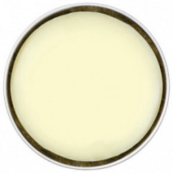 Da Vinci Cleaning Soap Muiliukas makiažo šepetėlių ir kempinėlių valymui 13g