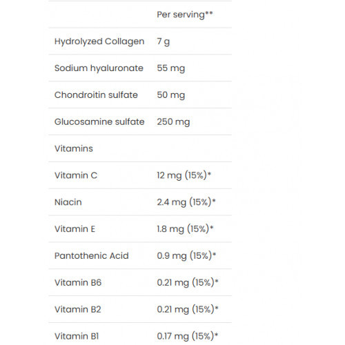 VPLab Nutrition Absolute Joint Maisto papildas milteliais sąnariams, kremzlėms, kaulams 400g
