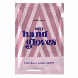 Alessandro Cozy Hydro Boost Express Hand Gloves Momentinė rankų kaukė su hialuronu ir niacinamidu 1 pora