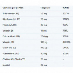 Osavi B-Complex with Choline & Inositol Maisto papildas su cholinu ir inozitoliu 60 kapsulių