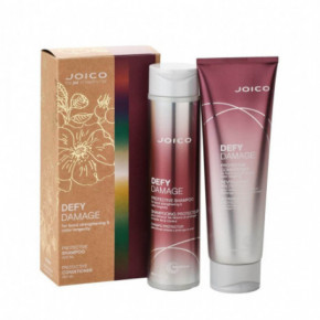 Joico Defy Damage Holiday Duo