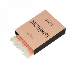 Didier Lab Esthétique All In One Microfibre Brushes 50vnt