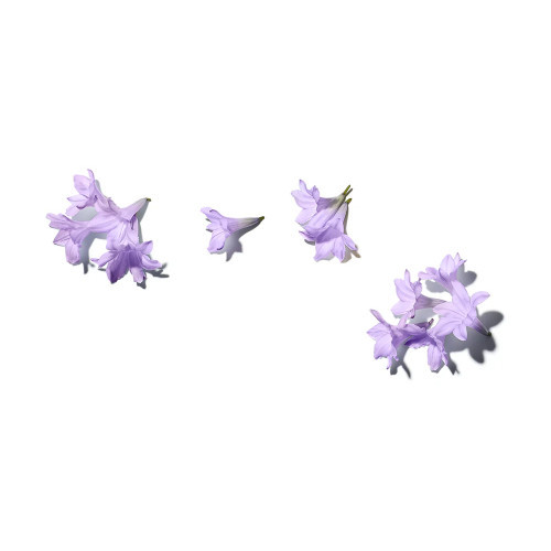 Benamor Jacarandá Calming Milky Body Cream Raminantis kūno kremas 150ml