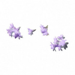 Benamor Jacarandá Calming Milky Body Cream Raminantis kūno kremas 150ml