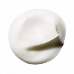 Benamor Rose Amélie Revitalizing Milky Body Cream Atgaivinantis kūno kremas 150ml