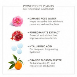 Delilah Wake Up Radiant Hydrating Mist Veido odos ir makiažo dulksna 80ml