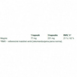 Ecosh Magnesium Maisto papildas, bioaktyvus magnio malatas 90 kapsulių