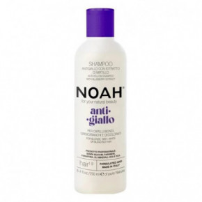 Noah 1.9 Anti-Yellow Shampoo With Blueberry Extract 250ml