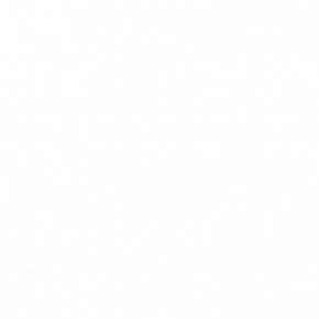 Norwex Lysere Daily Hair Shampoo Plaukų šampūnas 355ml