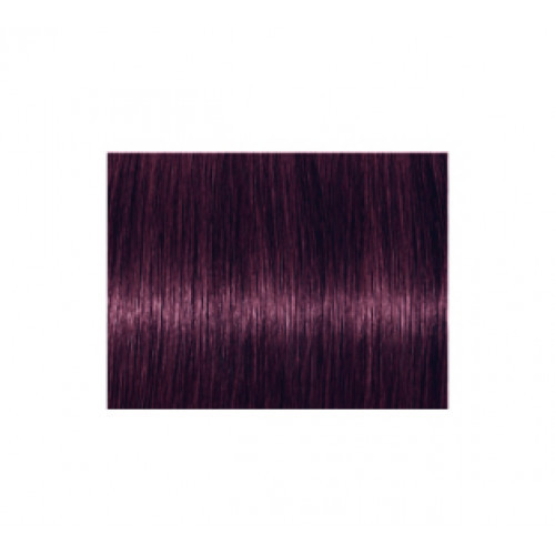 Schwarzkopf Professional Igora Royal Permanent Color Creme Plaukų dažai - pažeista pakuotė 60ml