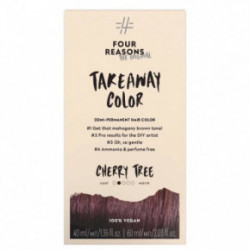 Four Reasons Original Takeaway Demi-Permanent Plaukų dažai 10.01 Ice Ice Blondy