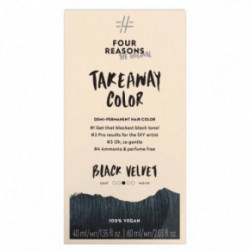 Four Reasons Original Takeaway Demi-Permanent Plaukų dažai 10.01 Ice Ice Blondy