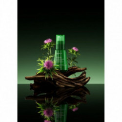 NatureLab Tokyo Kiseki Mizu Hair Oil Glotninamasis plaukų aliejus 37ml