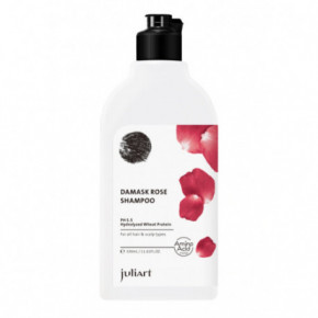 JuliArt Damask Rose Shampoo Matu atjaunošanas šampūns 330ml