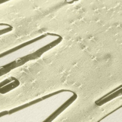 NatureLab Tokyo Perfect Smooth Shampoo Glotnumo suteikiantis šampūnas 340ml