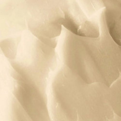 NatureLab Tokyo Perfect Smooth Conditioner Glotnumo suteikiantis kondicionierius 340ml