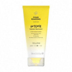 Four Reasons Color Mask Intense Toning Treatment Intensyvi tonizuojamoji priemonė ryškiems rezultatams 200ml
