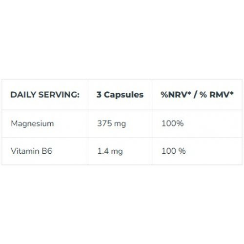 Iconfit Magnesium B6 375mg Magnio ir vitamino B6 kapsulės 90 kapsulių
