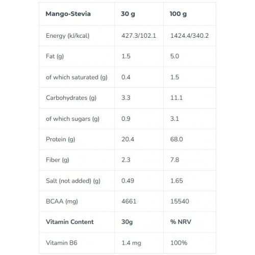 Iconfit Plant Protein Augaliniai baltymai 480g