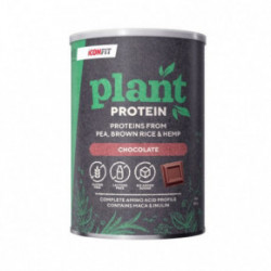 Iconfit Plant Protein Augaliniai baltymai 480g