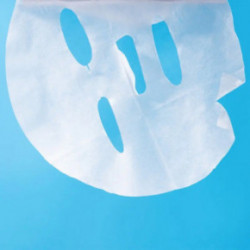 Terrazen PDRN Total Renew Mask Lakštinė veido kaukė 25ml