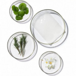 Terrazen PDRN Total Renew Mask Lakštinė veido kaukė 25ml