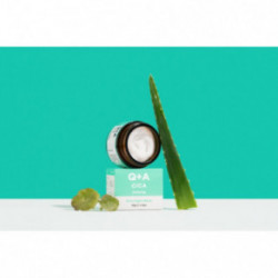 Q+A Cica Calming Overnight Mask Raminamoji naktinė veido kaukė 50g