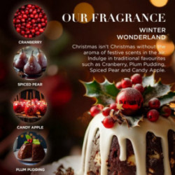 Baylis & Harding The Fuzzy Duck Winter Wonderland Luxury Pamper Tin Gift Set Dovanų rinkinys