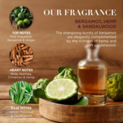 Baylis & Harding Luxury Grooming Tin Set Kūno ir barzdos priežiūros priemonių rinkinys vyrams