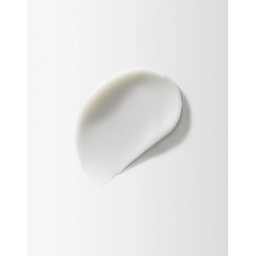 Moroccanoil Scalp Balancing Conditioner Balansuojamasis galvos odos kondicionierius 250ml