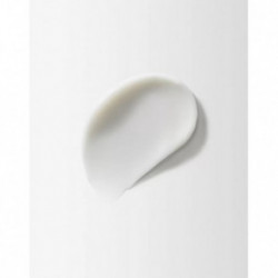 Moroccanoil Scalp Balancing Conditioner Balansuojamasis galvos odos kondicionierius 250ml