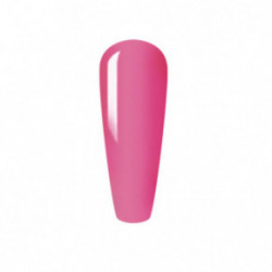 Sincero Salon Color Builder Gel Daugiafunkcinis 5in1 gelis nagams 15ml