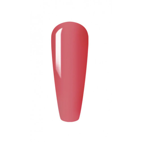 Sincero Salon Color Builder Gel Daugiafunkcinis 5in1 gelis nagams 15ml