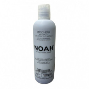 Noah 2.6 Anti-Yellow Hair Mask With Blueberry Extract Neutraliseeriv mask 250ml