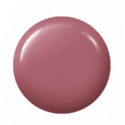 Didier Lab Gel Polish Gelinis nagų lakas 8ml