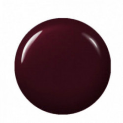 Didier Lab Gel Polish Gelinis nagų lakas 8ml
