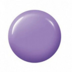 Didier Lab Gel Polish Gelinis nagų lakas 8ml