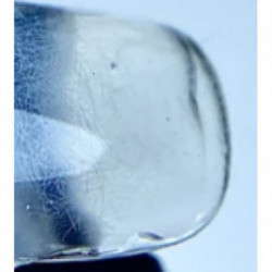 Didier Lab Fiber Base Gel Stiklo pluošto bazė 10ml