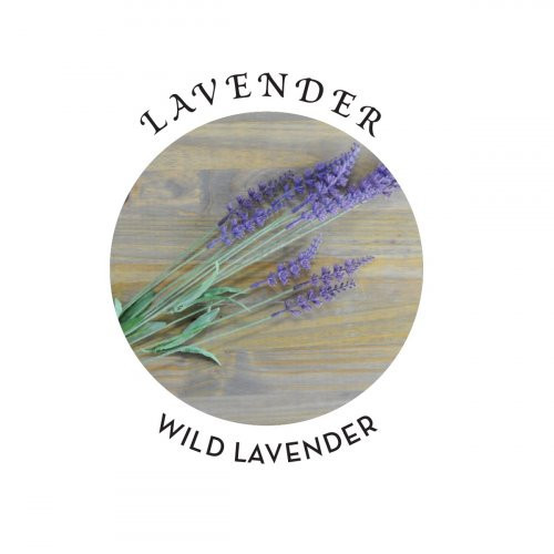 Hemp Seed Lavender Hand & Body Lotion Kūno ir rankų losjonas 207ml