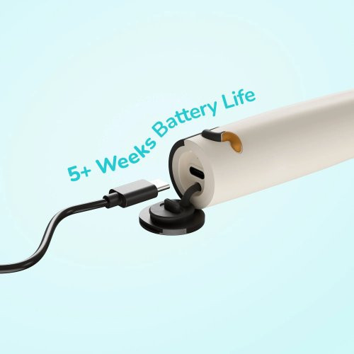 ORDO Sonic Kids Rechargeable Toothbrush Vaikiškas elektrinis dantų šepetėlis Patty