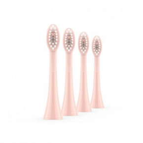 ORDO Sonic Brush Head Keičiamos dantų šepetėlio galvutės 4vnt