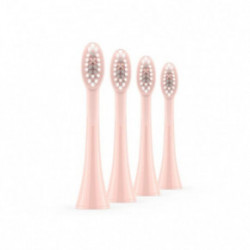 ORDO Sonic Brush Head Keičiamos dantų šepetėlio galvutės 4vnt