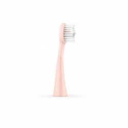 ORDO Sonic Brush Head Keičiamos dantų šepetėlio galvutės 4vnt