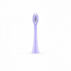 ORDO Sonic Brush Head Keičiamos dantų šepetėlio galvutės 4vnt